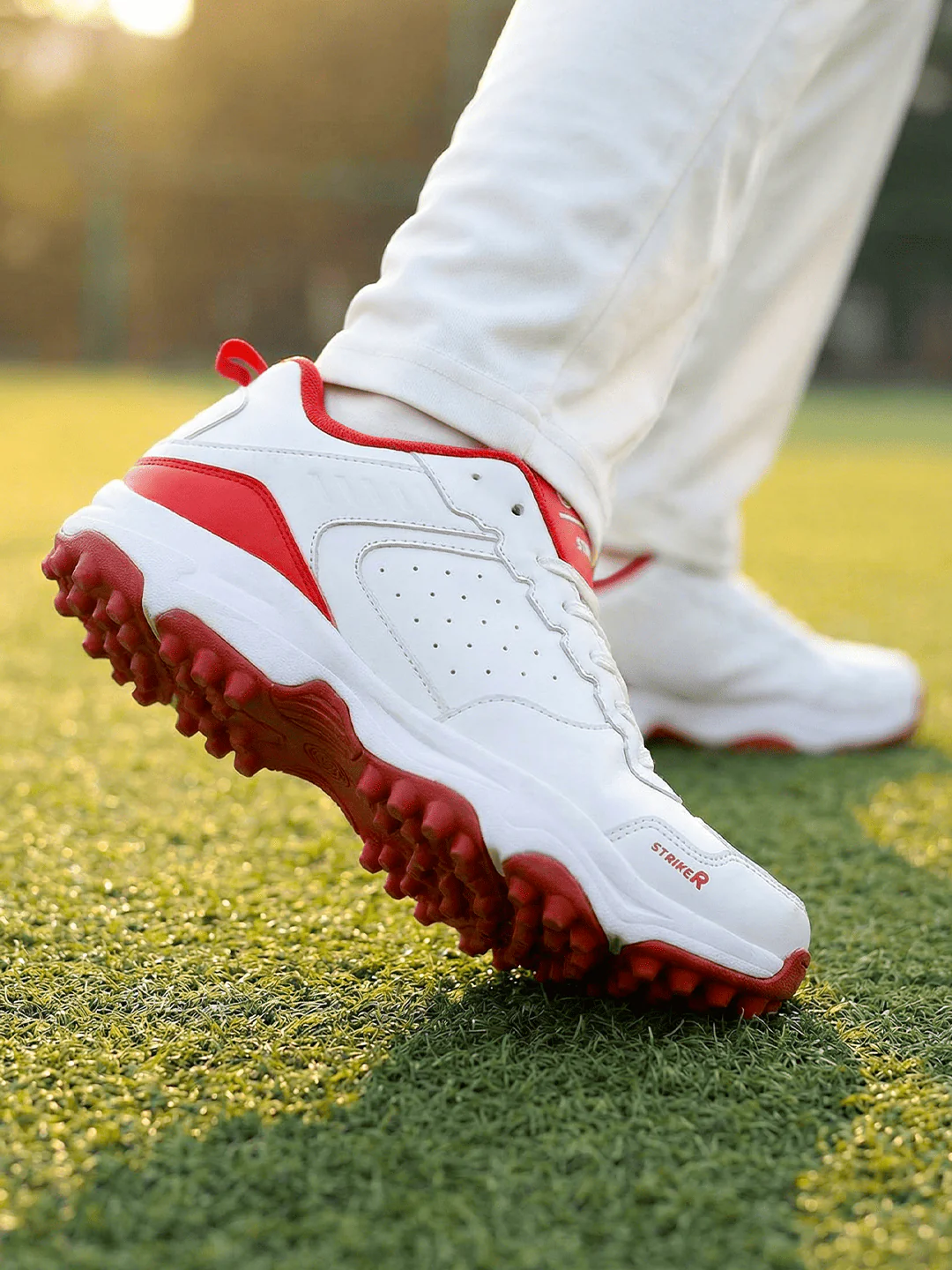 STRIKER - Image 19